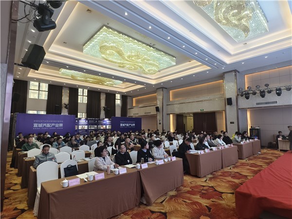 宣城汽配產業帶揚帆出海，跨境電商專場對接賦能企業建站新篇